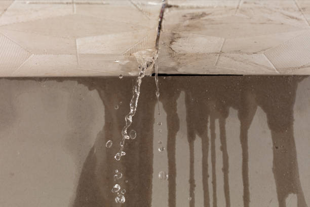 Professional Burst Pipe Cleanup technician working in Cibola, AZ